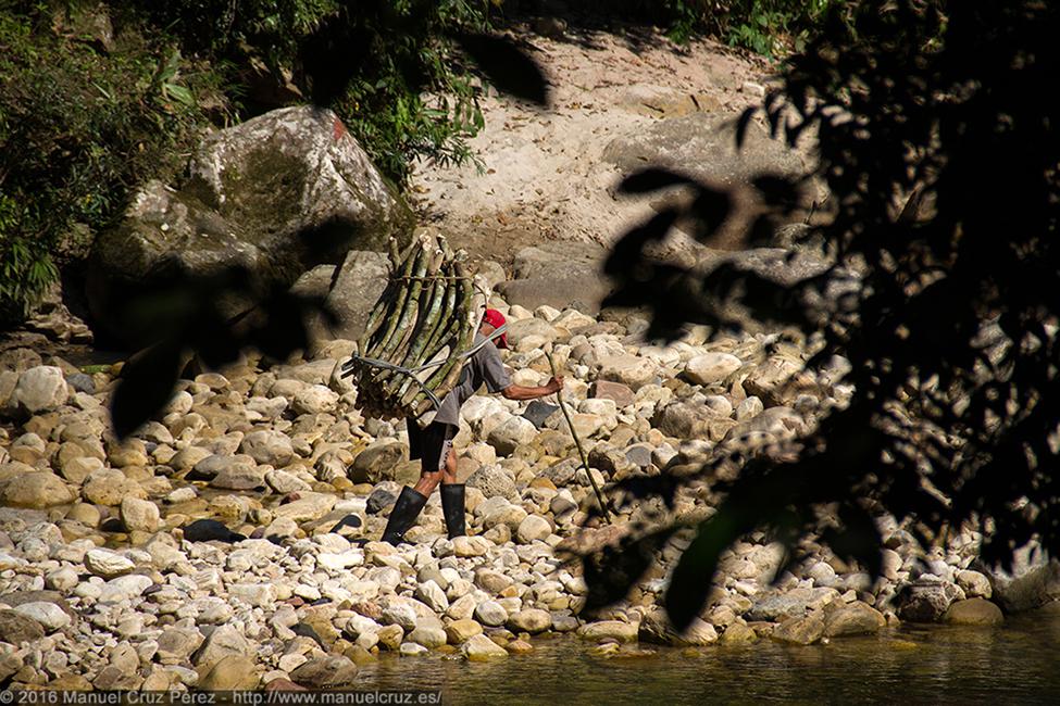 Hombre porteando madera en el río Cumbaza.